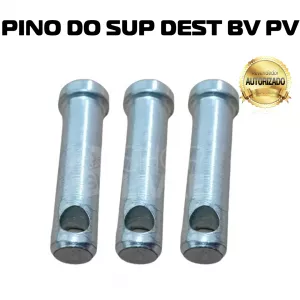 GAREN PINO DO SUP DEST BV PV (GDE) ZINC